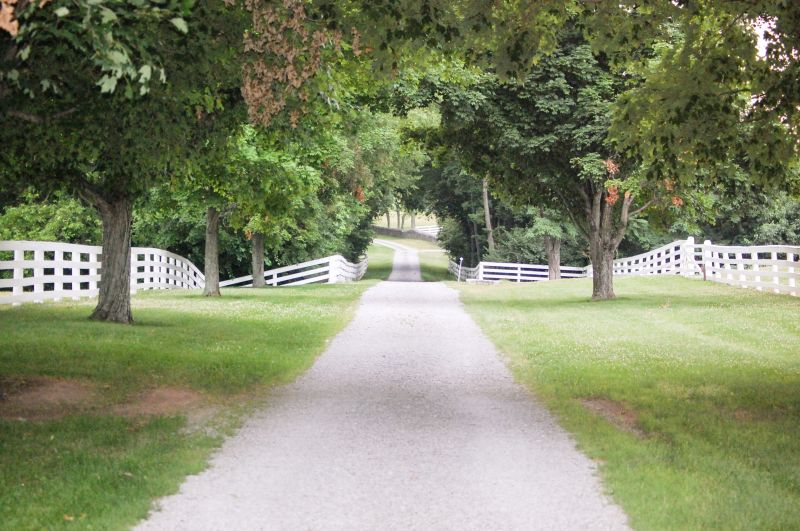 Gravel Driveway Installation